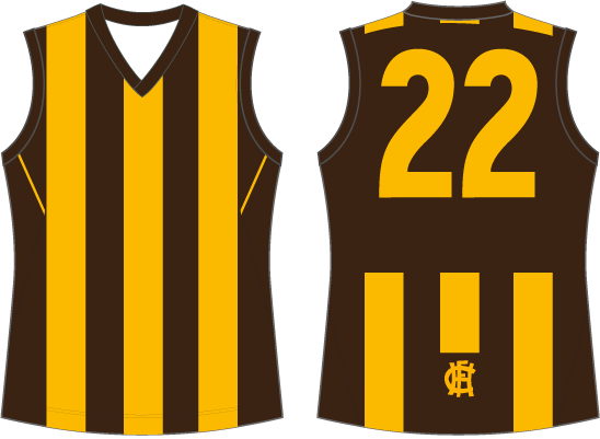 Hawthorn Away Jumpers